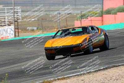 media/May-07-2022-Cobra Owners Club of America (Sat) [[e681d2ddb7]]/Yellow/Session 1 (Turn 4)/